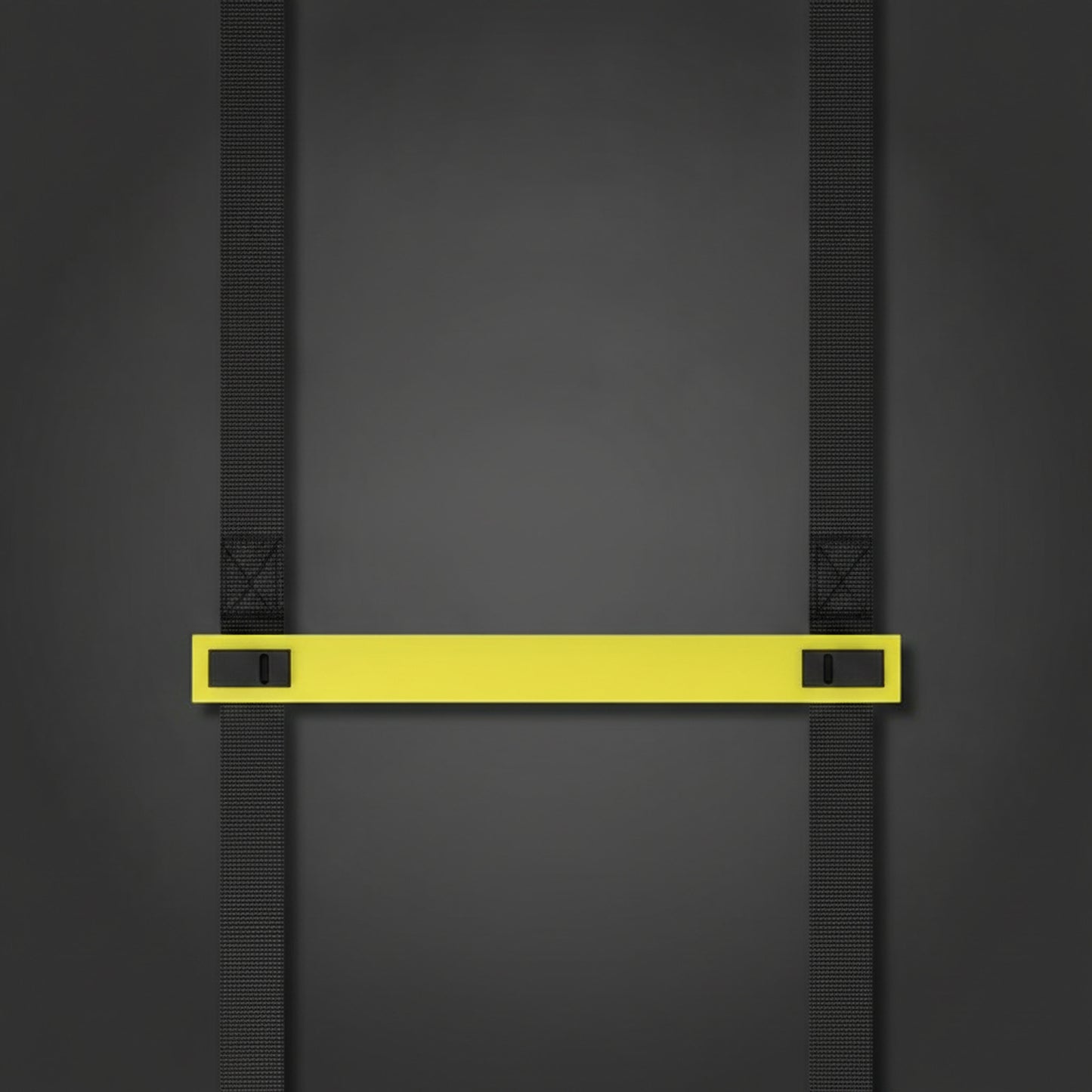 Échelle d'Agilité Philodryas — détail