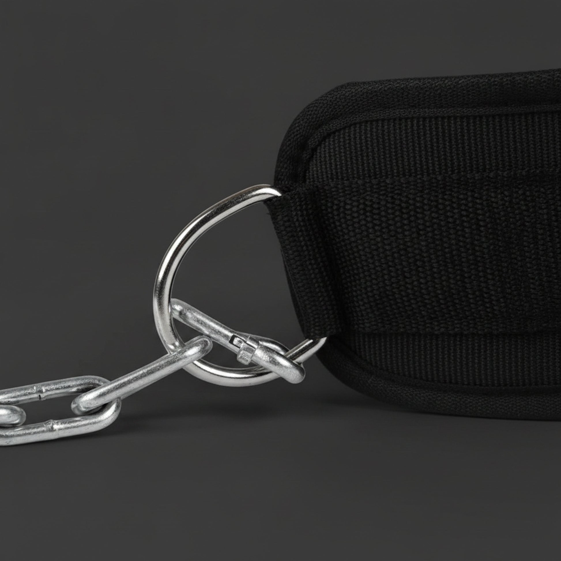 Ceinture Lestée Couleuvre, gros plan