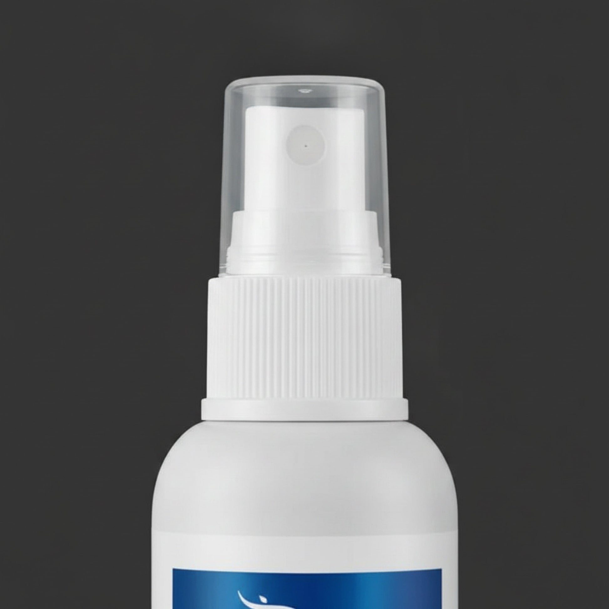 Spray Anti-Odeur Ptyas — détail